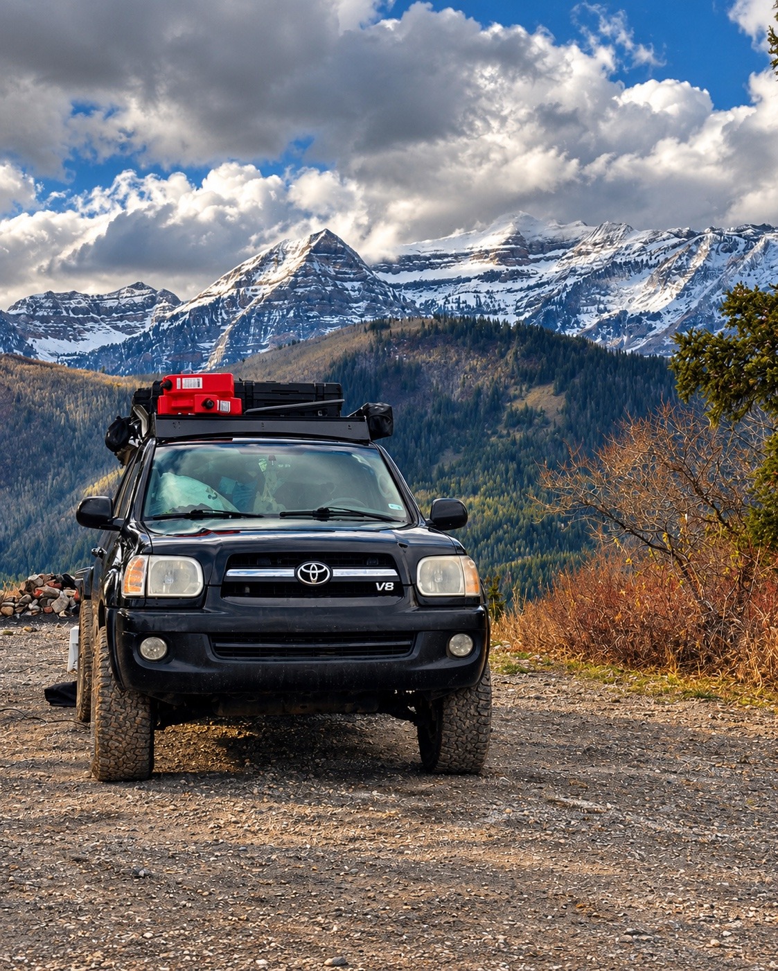The black Sequoia beneath snow-covered mountains.