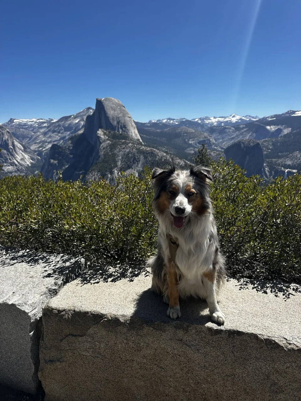 Sydney on a rocky overlook with mountains behind him.